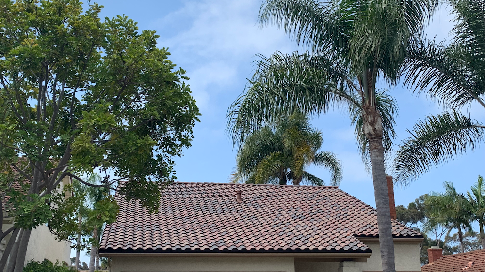 Bob Piva Roofing