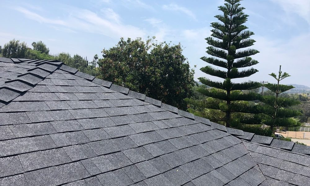 C39 Roofing