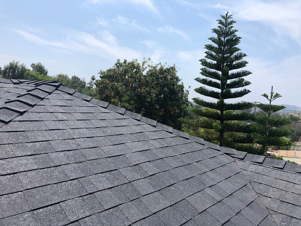 C39 Roofing